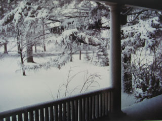 View from the front porch